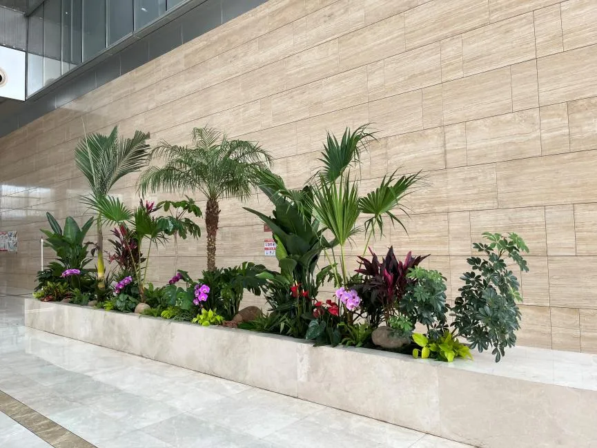 探寻宁波北仑花木租摆方案，绽放绿植独特魅力