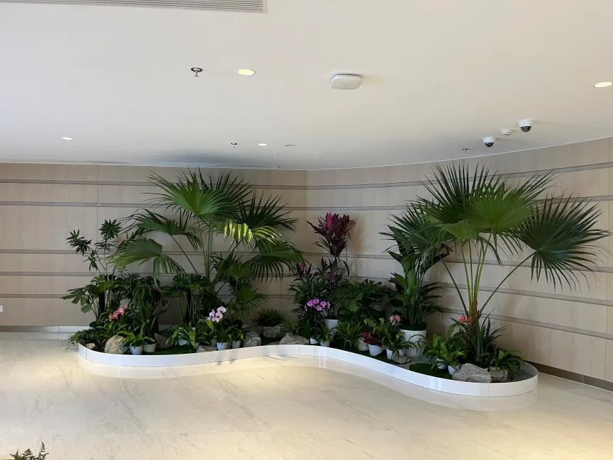 揭秘宁波海曙花木租赁优质商家，速戳！