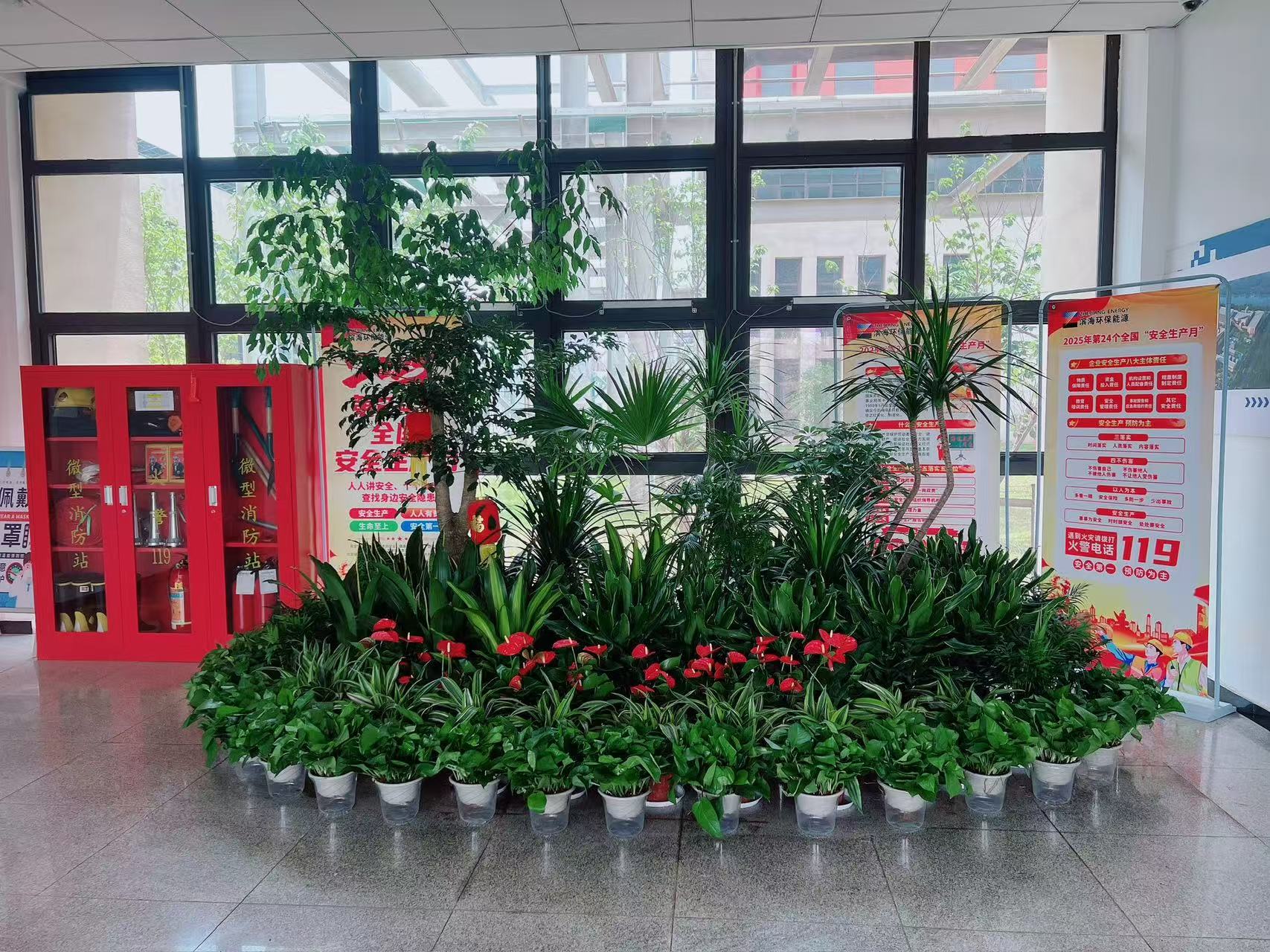 专业花卉出租设计，宁波奉化的花卉美学盛宴！