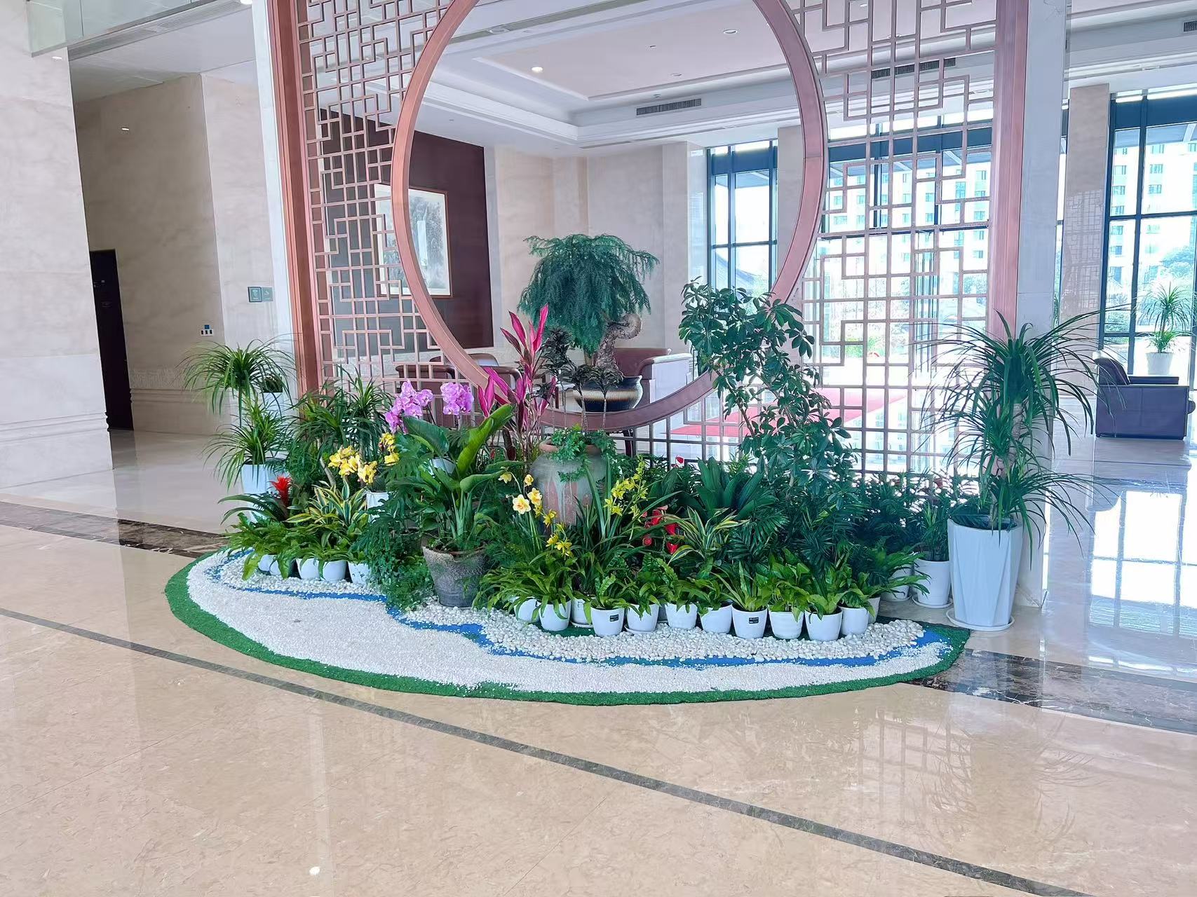 宁波鄞州植物租摆方案